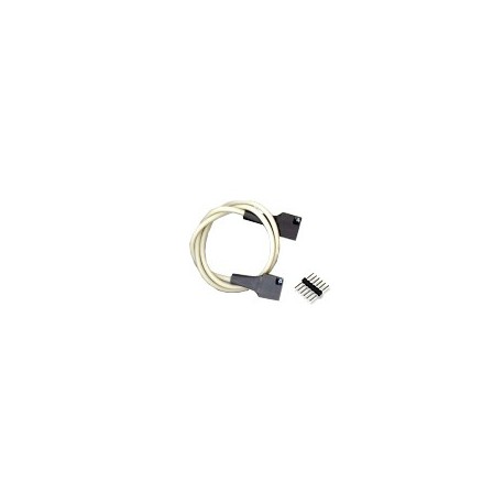 Cordon Pmod 6 Pin Cable Connector 12" - 1