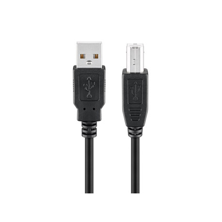 Cordon USB A mâle - USB B mâle (0,25 m)