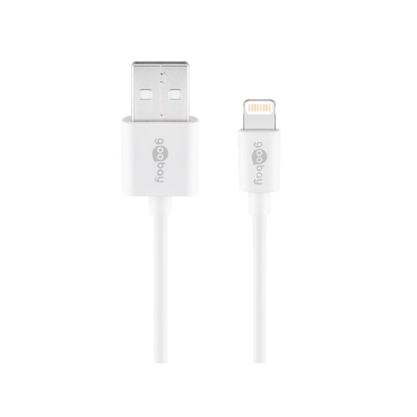 Cordon USB A mâle vers Lightning mâle (1m)